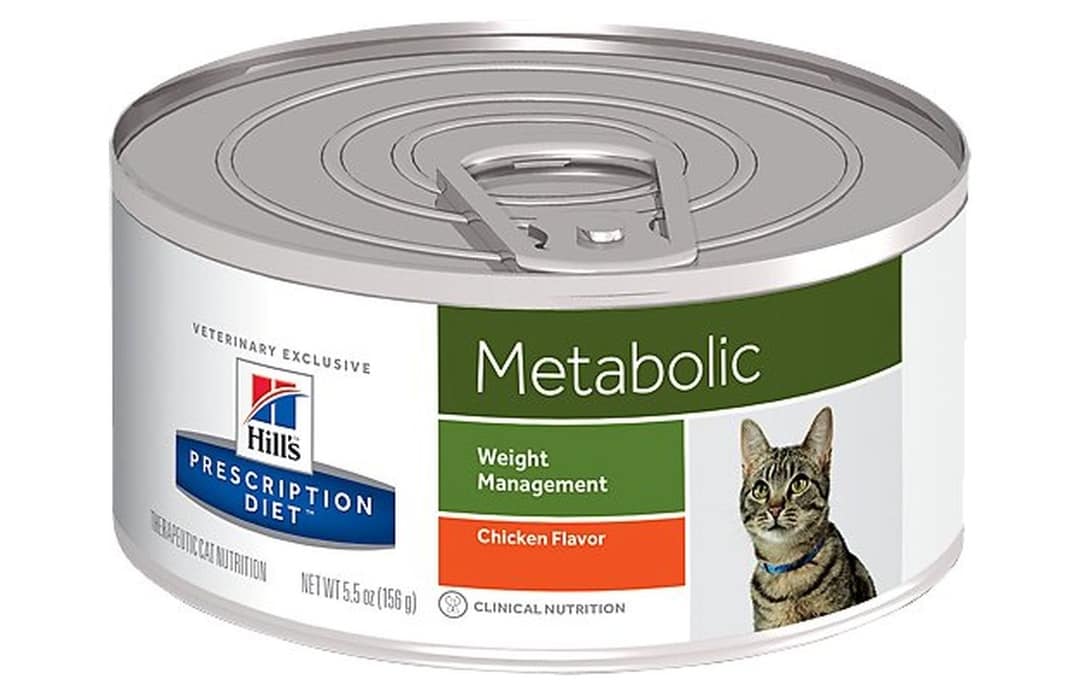 Best Cat Food for Overweight Cats (Top Picks) PurrfectKittyCat